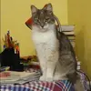 Отзыв от Лада Гладкова